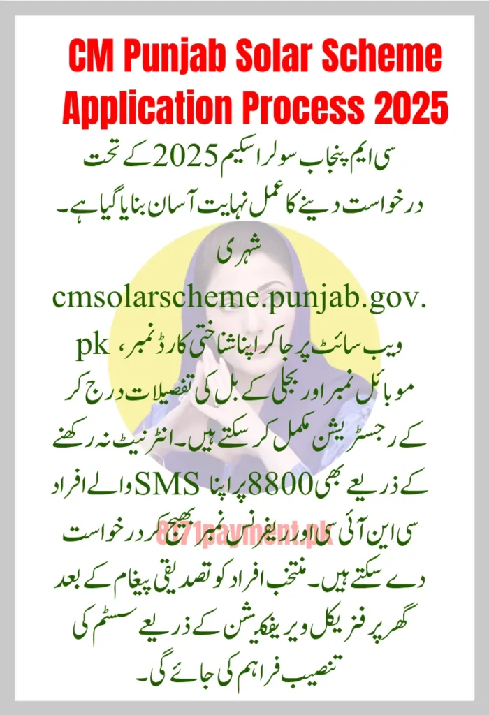 CM Punjab Solar Scheme Application Process 2025