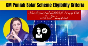 CM Punjab Solar Scheme Eligibility Criteria