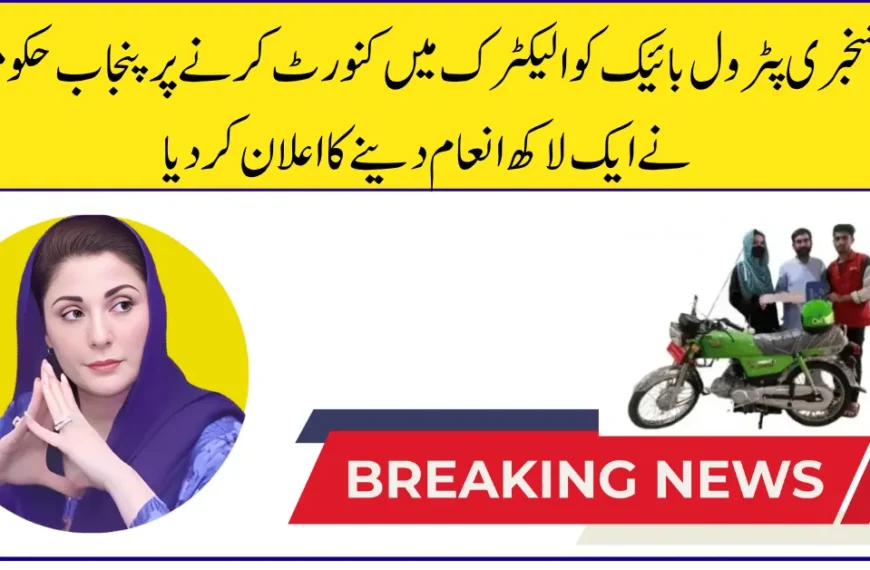 Convert Your Petrol Bike to Electric and Earn Rs. 100,000 – Punjab Green Credit Program 2025