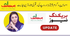 hsaas Program BISP 8171 August 2025 Update